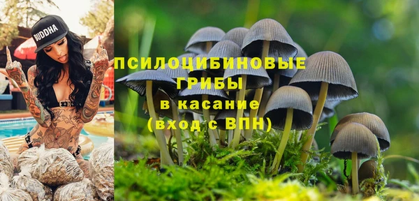 ПСИЛОЦИБИНОВЫЕ ГРИБЫ Алексеевка
