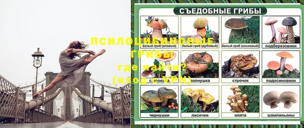 ПСИЛОЦИБИНОВЫЕ ГРИБЫ Алексеевка
