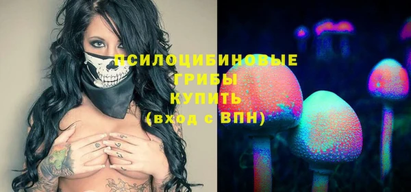 бошки Красноперекопск