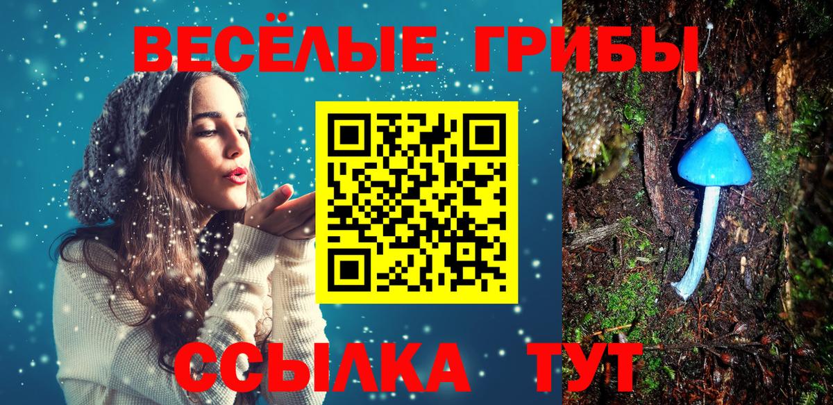 Джанкой  Галлюциногенные грибы MAGIC MUSHROOMS  Вход с VPN 