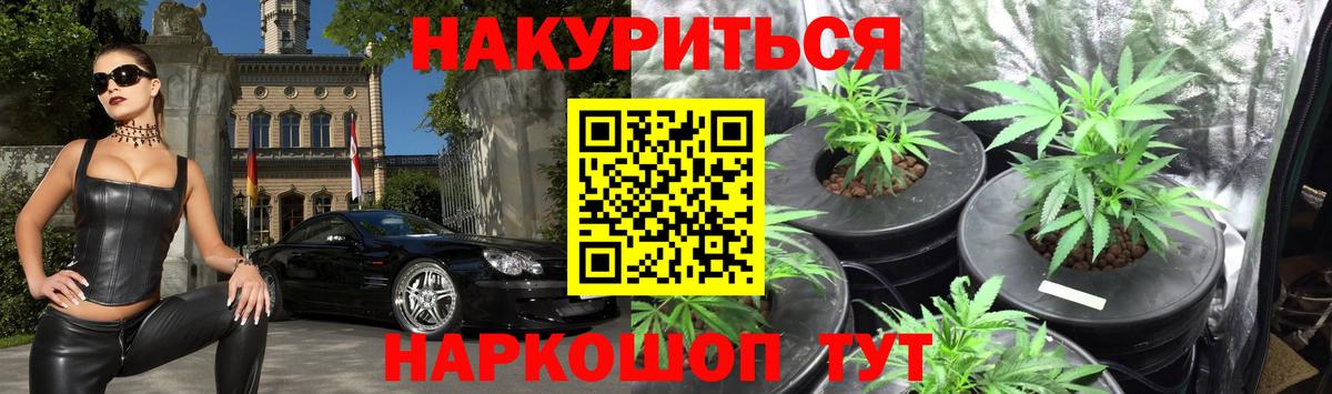 Конопля гибрид Джанкой
